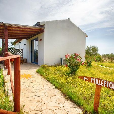Agriturismo Mieleamaro Vila Olbia Exterior foto