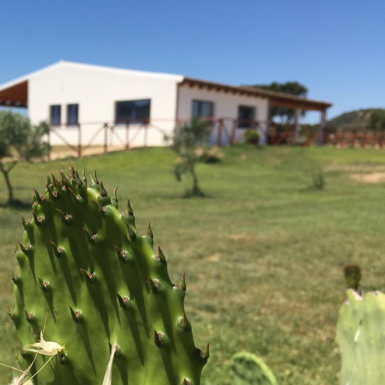 Agriturismo Mieleamaro Vila Olbia Exterior foto