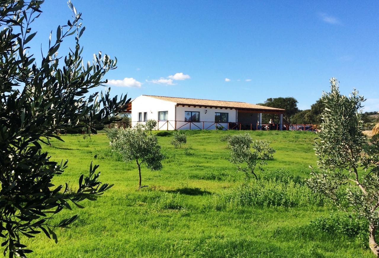 Agriturismo Mieleamaro Vila Olbia Exterior foto