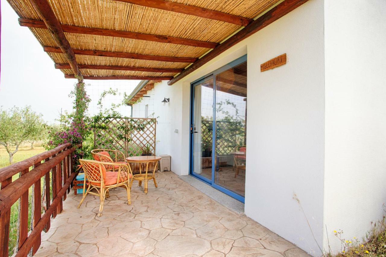 Agriturismo Mieleamaro Vila Olbia Exterior foto